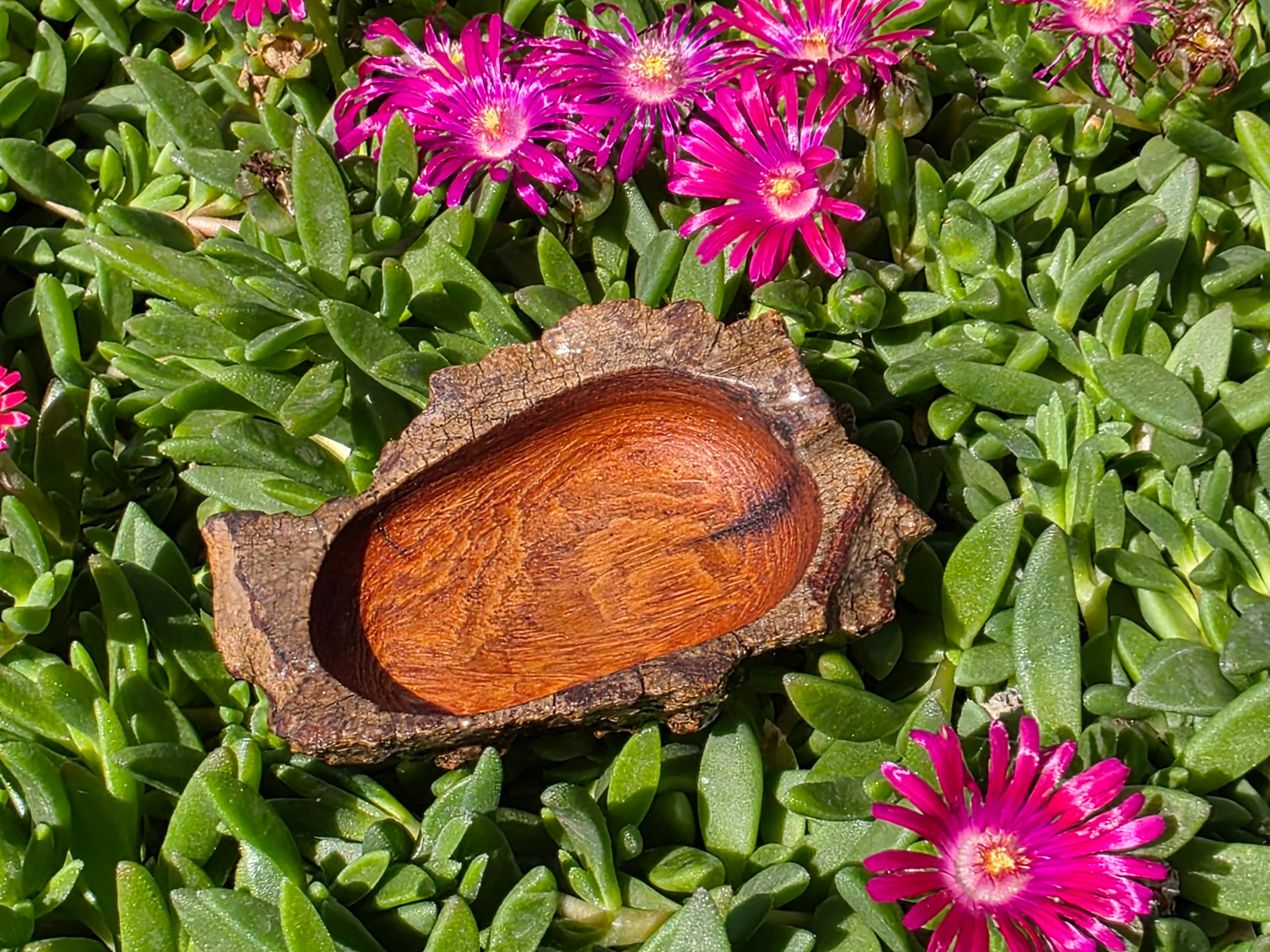 category image